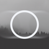 Grayn: Analog Film Camera APK