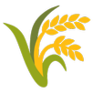 My Land - আমার জমি APK