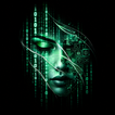 Pro Hacker: Ethical Hacking simgesi