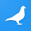 Gołębie pocztowe - oddz. PZHGP APK