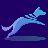 Agilix: Dog Trainers & Clubs