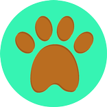 Reino animal Quiz