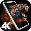 4K Wallpapers - HD Backgrounds-APK