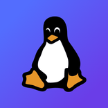 Linux Commands: Terminal Guide