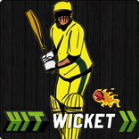 Hit Wicket Cricket 2017 - Australian League Game