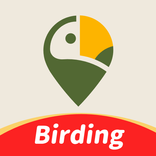 COOLFLY: Bird ID & Community