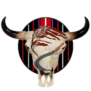 Hmar Hnam Dan le Nunphung APK