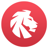 Lion Credit - Personal Credit 