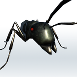 ”Ant Garden