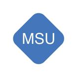 Mobile Security User