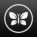 The Honest Company