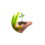 PRMS APP