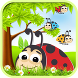 Bugs Pembunuh