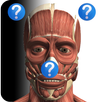 Anatomy Quiz APK