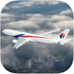 3D Airplane Flight Sim Zeichen
