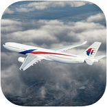 3D Airplane Flight Sim
