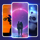 动态壁纸|视频壁纸 APK