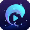 Dolphin TV APK