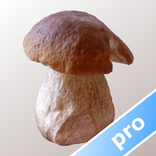 Myco pro - Mushroom Guide