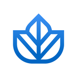 Ivy.co