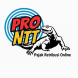 PRO NTT