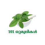 101 Nattu chigilsagal