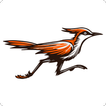LinkBird simgesi