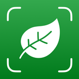 Plant Identifier - WhatLeaf