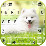 White Cute Puppy Keyboard Back