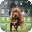Cool Pitbull Keyboard Backgrou icon