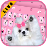 Cute Bow Dog Tastiera
