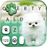 Cute Puppy White Latar Belakan