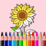 How to Draw Flowers