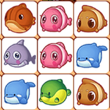 Fish Fish