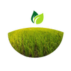 DFF APK
