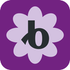 Bloomerang Volunteer APK