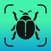 Icona Identifica Insetti - Insectium