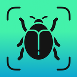 Reconnaitre Les Insectes