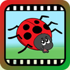Video Touch - Bugs & Insects APK