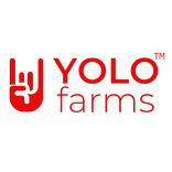 YOLOAdmin