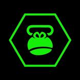 Monkey Gym