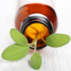 AromaGuide Huiles essentielles APK