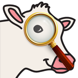 Invisible Cow & Friends