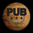 PUB 365 icon