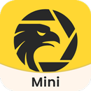 APK WikiFX Mini-Forex Info Service