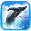 REAL WHALES Find the cetacean! APK