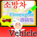 LanguageMaster Vehicles - Brai
