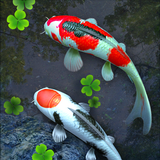 魚池動態桌布 - Fish Pond APK