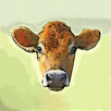 Bulls & Cows APK