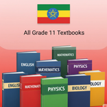 Grade 11 Books: Summary & Quiz